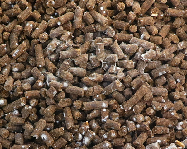 発酵処理した鶏糞はペレット状に加工されていて、匂いは多少するくらいです。