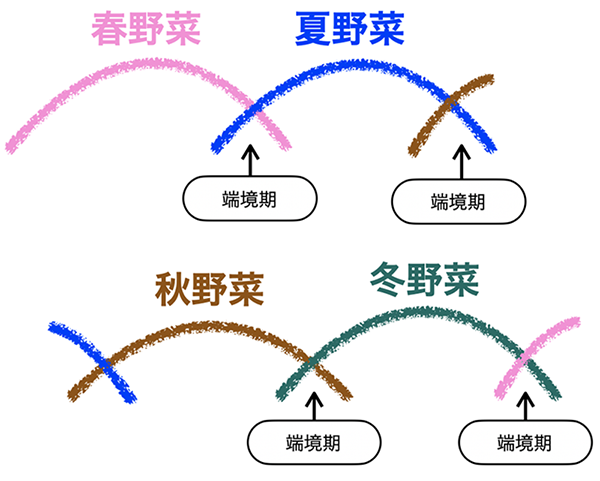 季節の移り変わり時に、端境期に入ります。