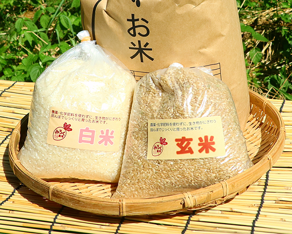 季節の野菜が届く宅配便を紹介しています。