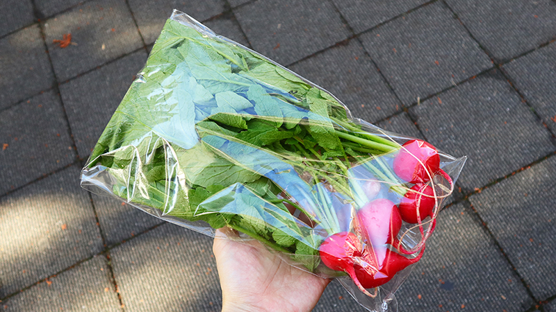 ラディッシュは適切なサイズがあるので、大きすぎてもいけません。