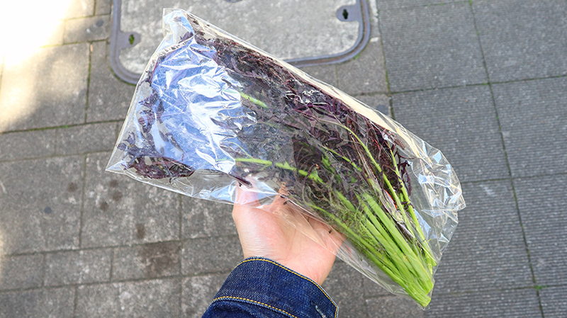 赤サラダからし菜は根の近くを切るので、茎の部分から袋に詰めています。20cmほどの長さです。