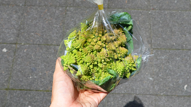 蕾より少し下の茎の部分を切って袋に入れて提供しています。