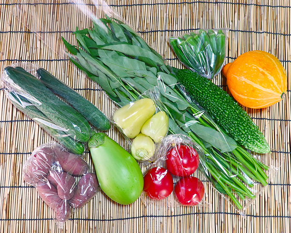 季節の野菜を楽しみたい方には丁度いい量のmサイズです。