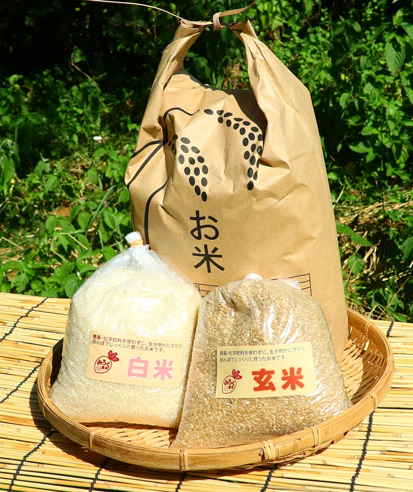 農場のメンバーの写真です