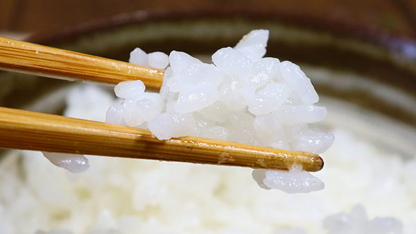 炊飯しても粒がしっかりとしています。